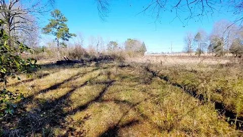 33 Buckley Rd, Laurel, MS 39443 photo 5