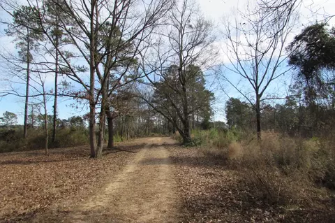 188 Phillips Rd, Sumrall, MS 39482 photo 33