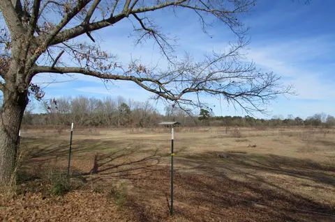 188 Phillips Rd, Sumrall, MS 39482 photo 38