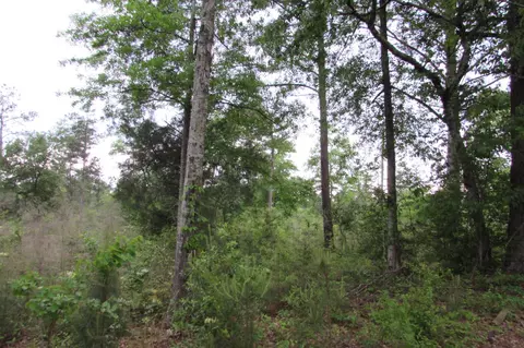 188 Phillips Rd, Sumrall, MS 39482 photo 42
