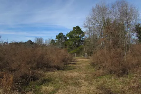 188 Phillips Rd, Sumrall, MS 39482 photo 35