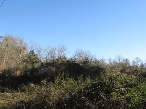 188 Phillips Rd, Sumrall, MS 39482 photo 43