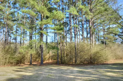 96 Richmond, Sumrall, MS 39482 photo 34