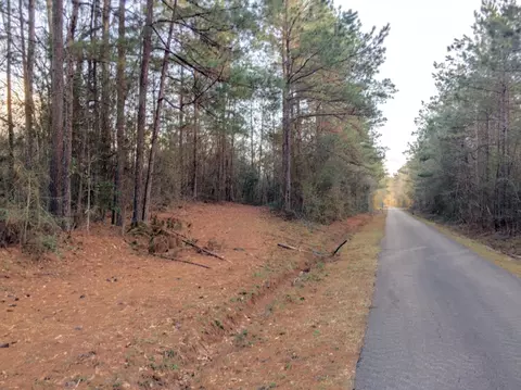 172 Higgins Rd, Sumrall, MS 39482 photo 6