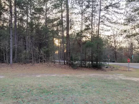 172 Higgins Rd, Sumrall, MS 39482 photo 4