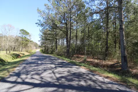 16 Ward Dr, Petal, MS 39465 photo 6