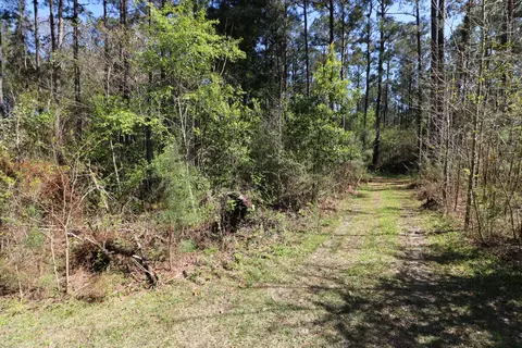 16 Ward Dr, Petal, MS 39465 photo 4