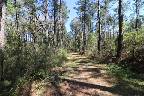 16 Ward Dr, Petal, MS 39465 photo 2