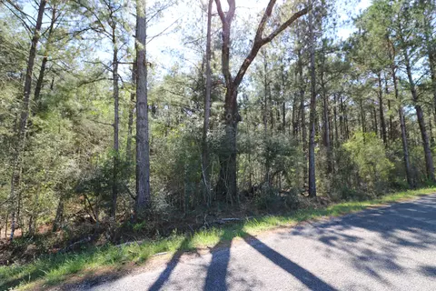 16 Ward Dr, Petal, MS 39465 photo 8