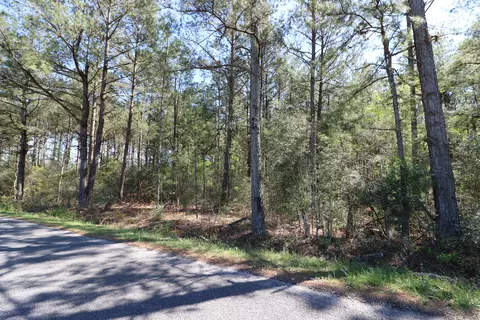 16 Ward Dr, Petal, MS 39465 photo 7