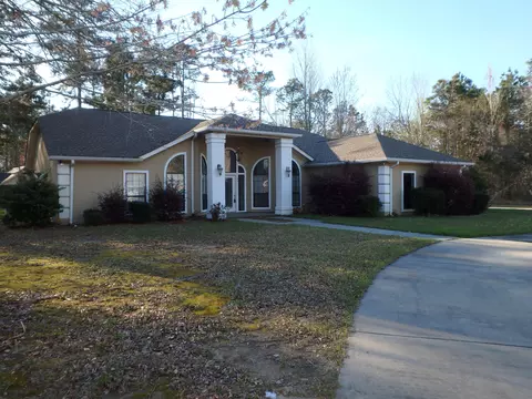 61 Palm Tree Loop, Petal, MS 39465 photo 1
