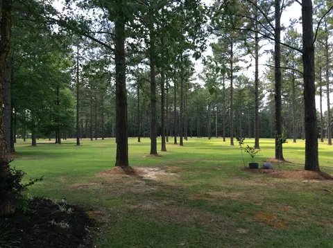 944 Gates Rd, Columbia, MS 39429 photo 29