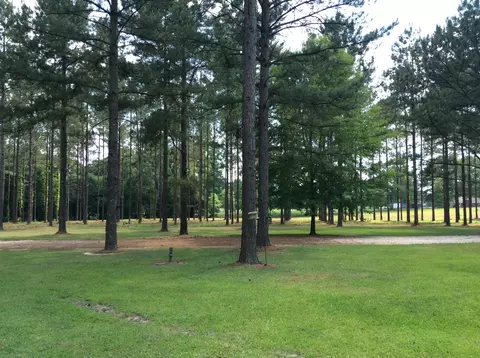 944 Gates Rd, Columbia, MS 39429 photo 28