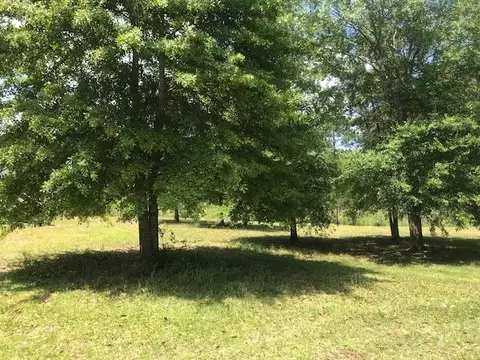 253 Tee Rd, Lumberton, MS 39455 photo 17