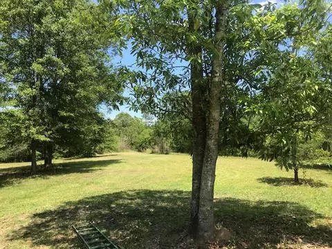 253 Tee Rd, Lumberton, MS 39455 photo 18
