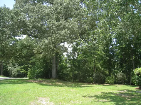 35 Creekside, Purvis, MS 39475 photo 15