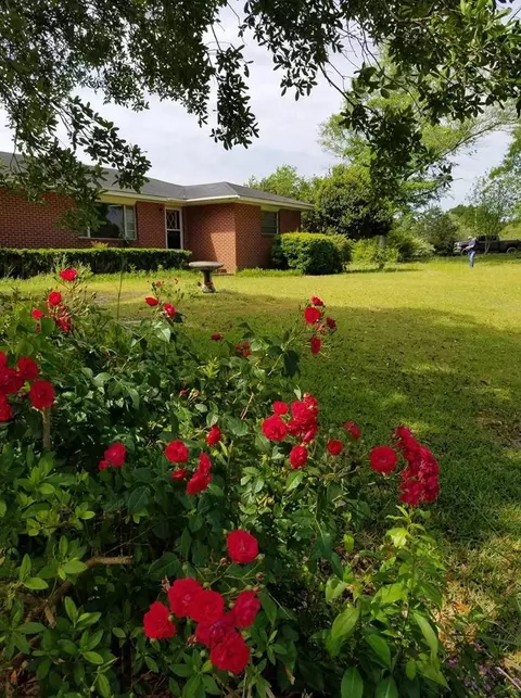 9 Co Rd 153, Laurel, MS 39443 photo 3