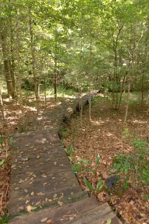570 Jericho Loop, Mclain, MS 39456 photo 19