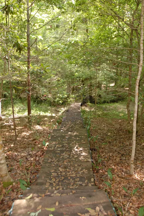 570 Jericho Loop, Mclain, MS 39456 photo 20