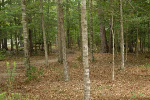 570 Jericho Loop, Mclain, MS 39456 photo 32