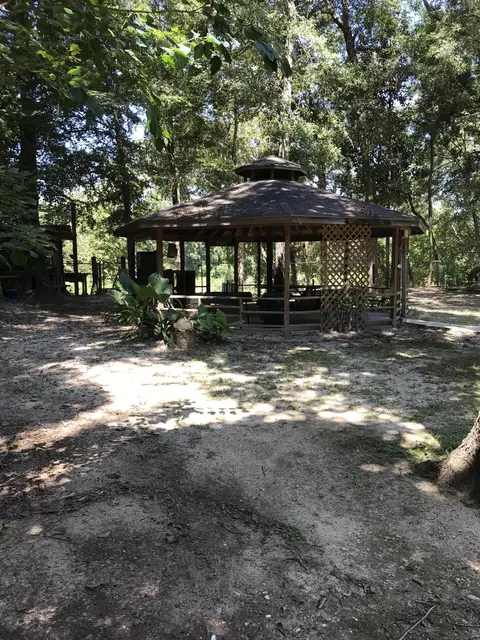 173 River Loop, Beaumont, MS 39423 photo 7