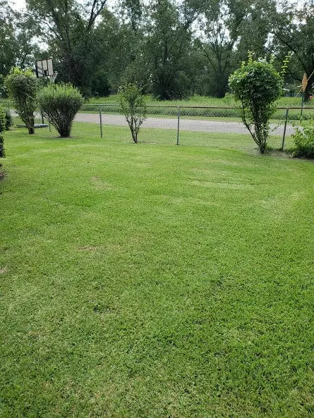702 First Ave, Purvis, MS 39475 photo 15