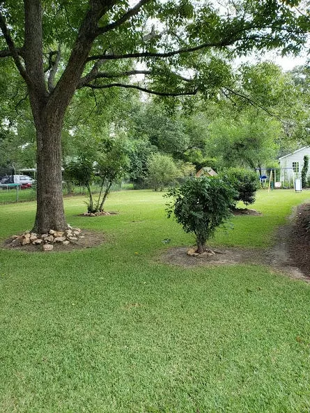 702 First Ave, Purvis, MS 39475 photo 13