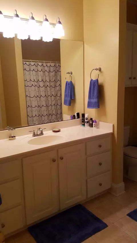 39 Palm Tree Loop, Petal, MS 39465 photo 17