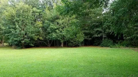 39 Palm Tree Loop, Petal, MS 39465 photo 4