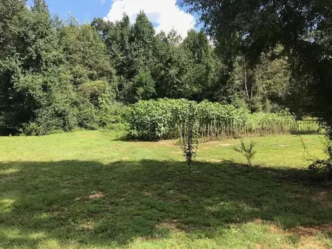 400 Scr 38, Mount Olive, MS 39119 photo 11