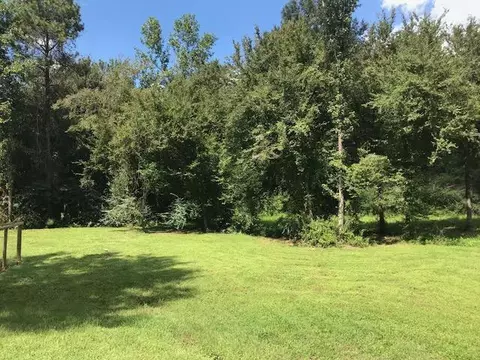 400 Scr 38, Mount Olive, MS 39119 photo 10