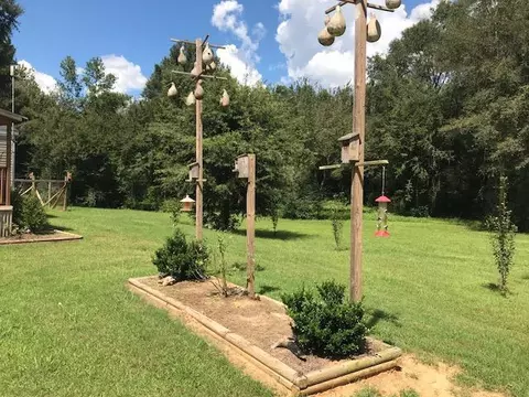 400 Scr 38, Mount Olive, MS 39119 photo 12