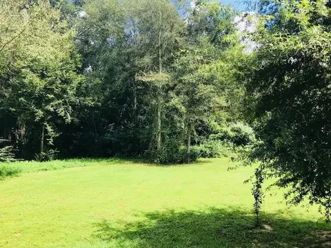 400 Scr 38, Mount Olive, MS 39119 photo 9