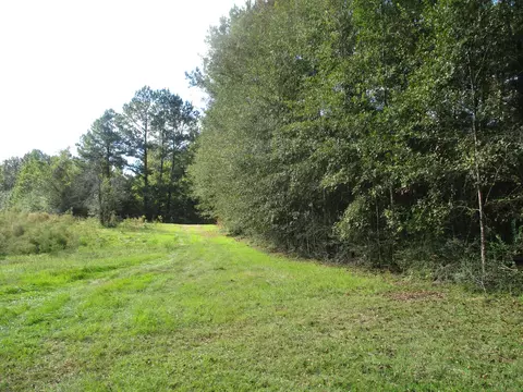 13 St John Rd, Brooklyn, MS 39425 photo 2