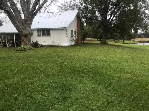 55 Co Rd 1711, Stringer, MS 39481 photo 2