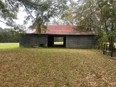 55 Co Rd 1711, Stringer, MS 39481 photo 5