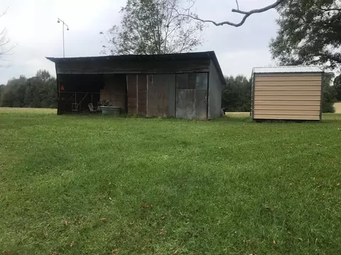 55 Co Rd 1711, Stringer, MS 39481 photo 3