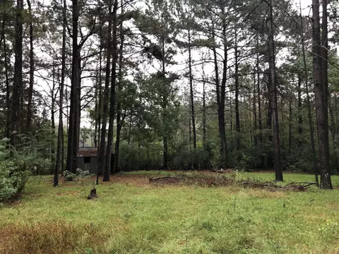 47 E L Loper Dr, Laurel, MS 39443 photo 1