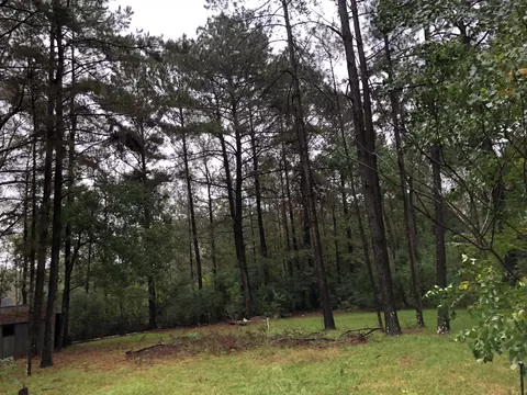 47 E L Loper Dr, Laurel, MS 39443 photo 2