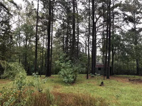 47 E L Loper Dr, Laurel, MS 39443 photo 3