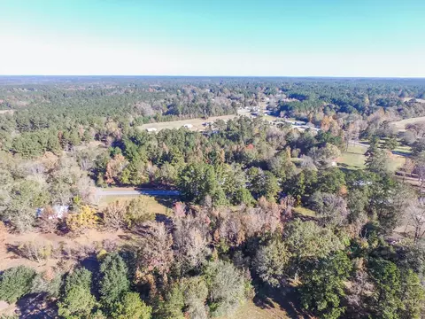 891 Leeville Rd, Petal, MS 39465 photo 13