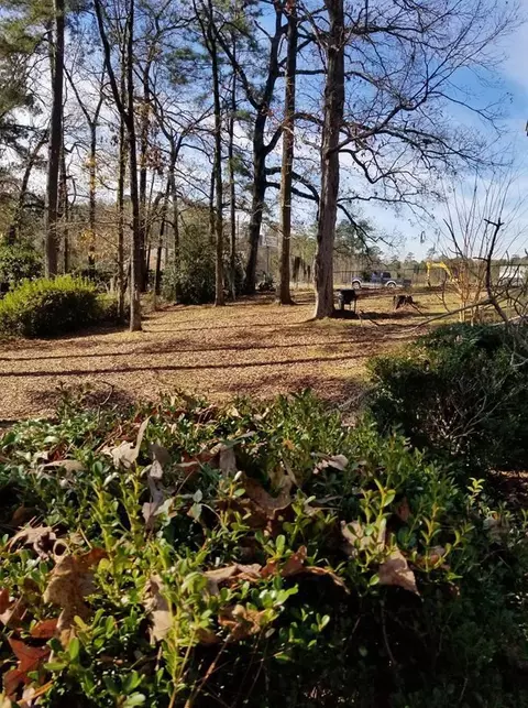 1450 33rd St, Laurel, MS 39440 photo 25