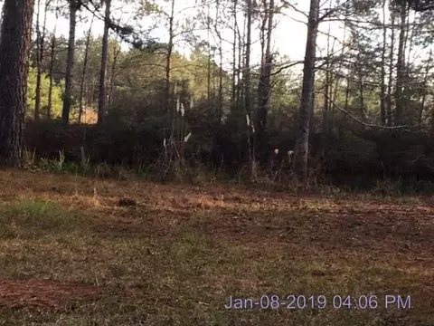 74 Old Hwy 35 S, Sandy Hook, MS 39478 photo 10