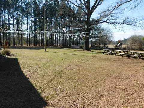 84 Mitchell Rd, Purvis, MS 39475 photo 23