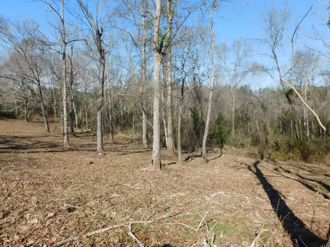 84 Mitchell Rd, Purvis, MS 39475 photo 34