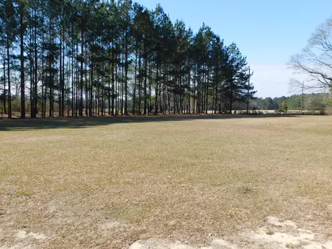 84 Mitchell Rd, Purvis, MS 39475 photo 21