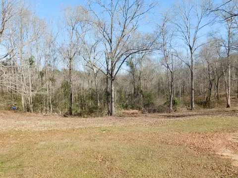 84 Mitchell Rd, Purvis, MS 39475 photo 28