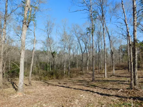 84 Mitchell Rd, Purvis, MS 39475 photo 35
