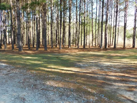 84 Mitchell Rd, Purvis, MS 39475 photo 33