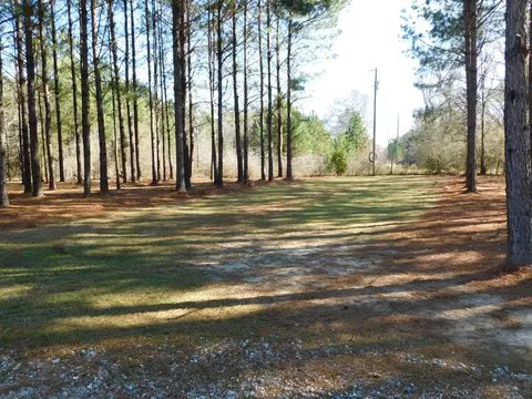 84 Mitchell Rd, Purvis, MS 39475 photo 32